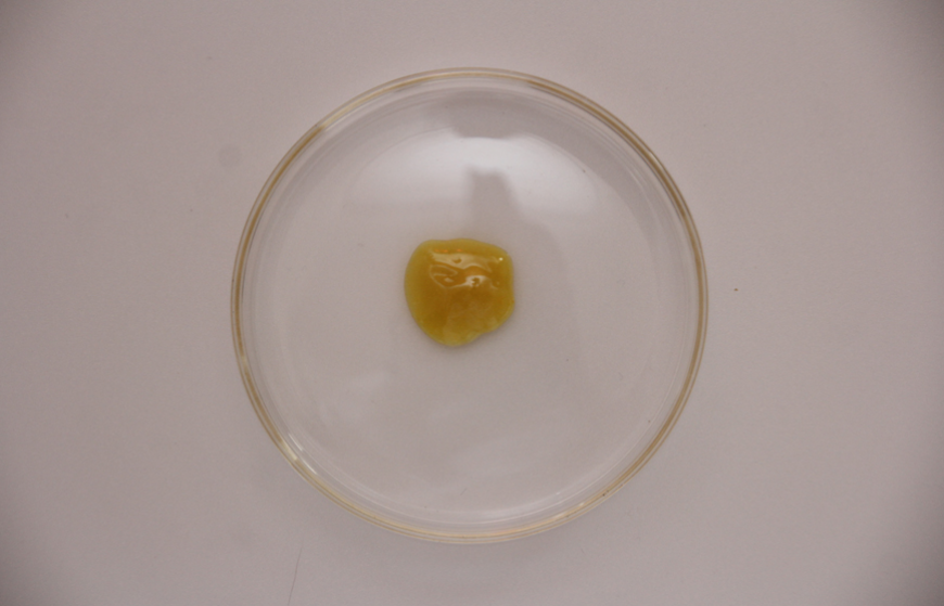 Ruijiaguide 1% Fluorite Hydrazone Ant Killing Gel Bait 20g